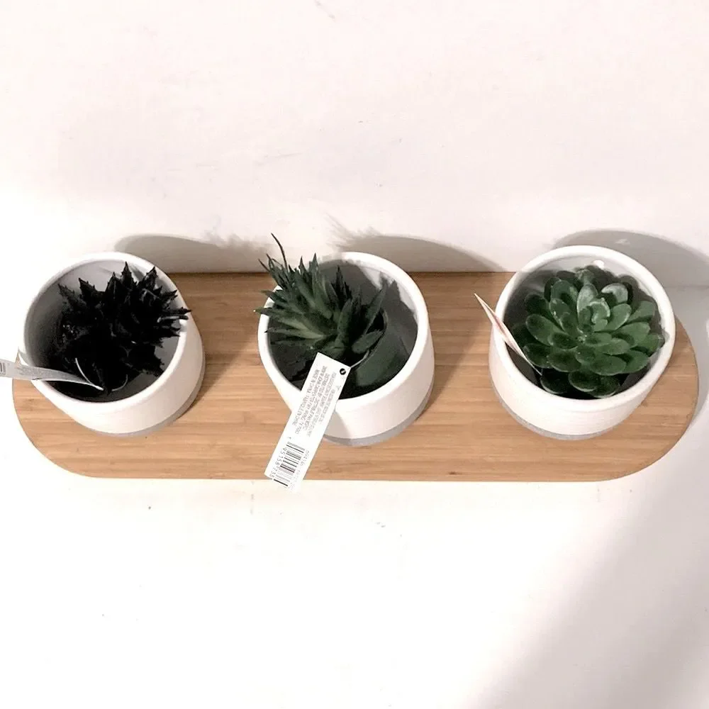 CENTERPIECE Decor Mini Faux Succulents in Ceramic Pots ASHLAND Wooden Tray